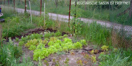 Himmelfahrt mit Donnerwetter